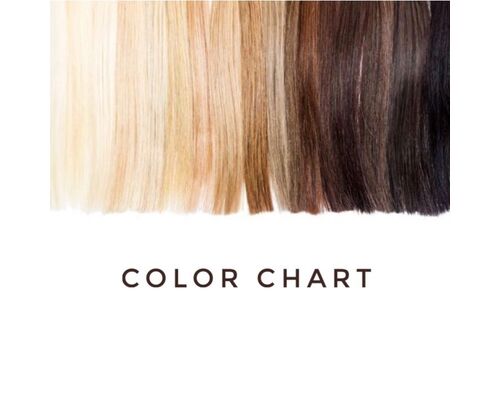 カラーチャート